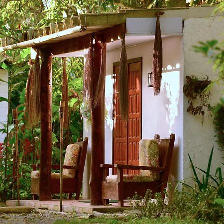 Chalé Privativo à beira do rio Jaguareguava na Mata Atlântica em Bertioga SP Vila Exterior foto