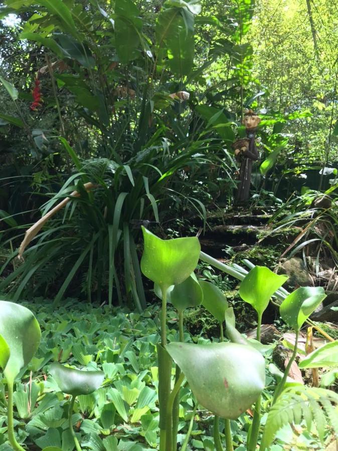Chalé Privativo à beira do rio Jaguareguava na Mata Atlântica em Bertioga SP Vila Exterior foto