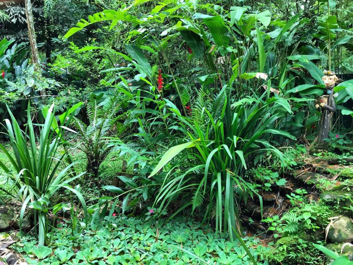 Chalé Privativo à beira do rio Jaguareguava na Mata Atlântica em Bertioga SP Vila Exterior foto