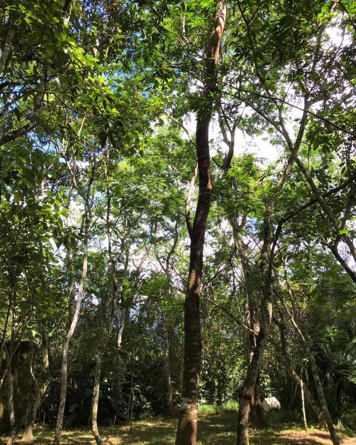 Chalé Privativo à beira do rio Jaguareguava na Mata Atlântica em Bertioga SP Vila Exterior foto
