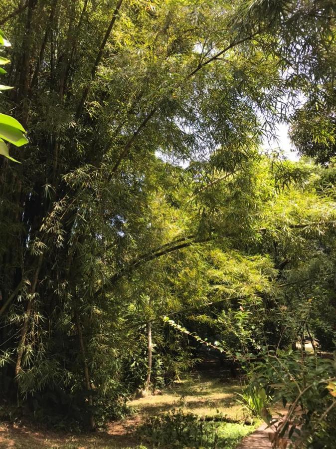 Chalé Privativo à beira do rio Jaguareguava na Mata Atlântica em Bertioga SP Vila Exterior foto