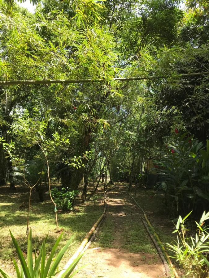 Chalé Privativo à beira do rio Jaguareguava na Mata Atlântica em Bertioga SP Vila Exterior foto
