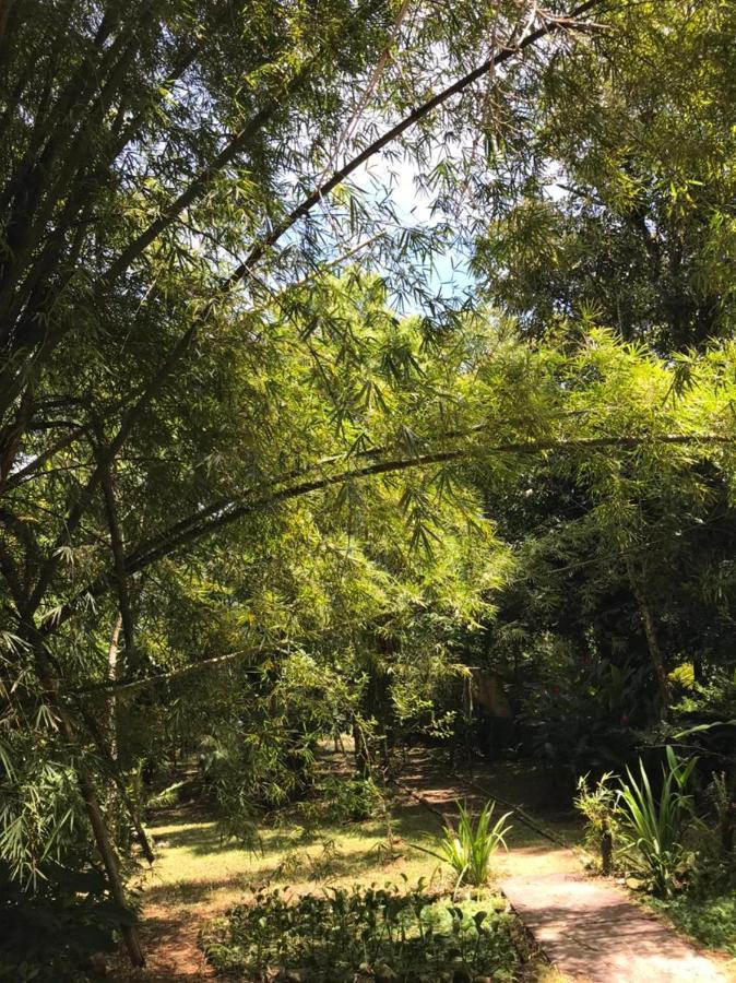 Chalé Privativo à beira do rio Jaguareguava na Mata Atlântica em Bertioga SP Vila Exterior foto